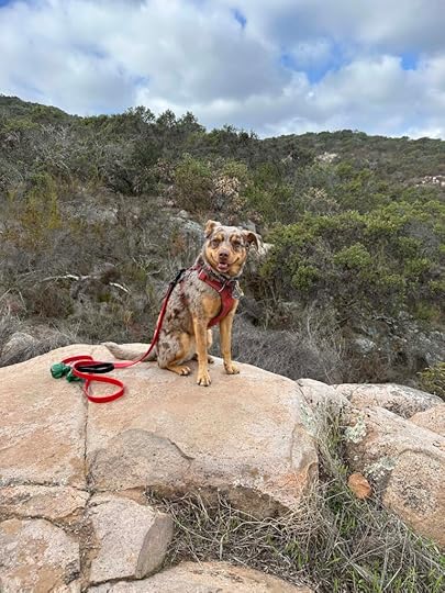 Sunny and the view on the way up