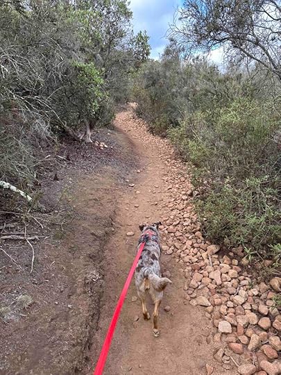 up the trail to Cowles Mountain