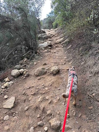 up the trail to Cowles Mountain