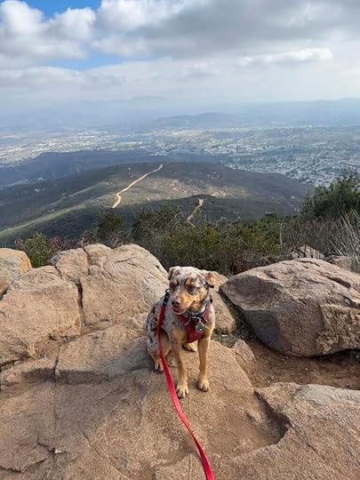 Cowles Mountain summit
