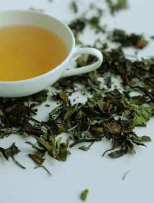 Bai Mu Dan Witte Thee