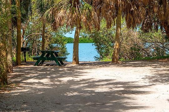 where to camp in the south