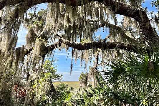 where to camp in the south
