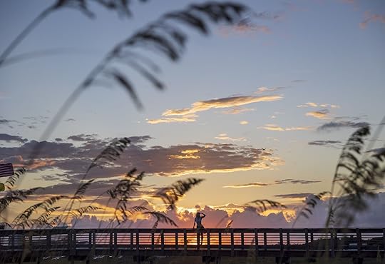 where to camp in the south - gulf shores