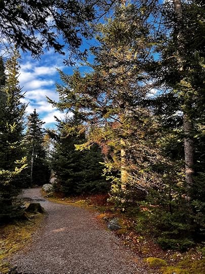 Path, trees, blue sky