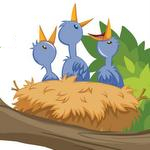 Spanish definite article