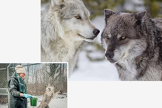 winter activities in hudson valley
