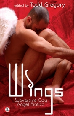 The cover of Wings, Subversive Gay Angel Erotica, edited by Todd Gregory