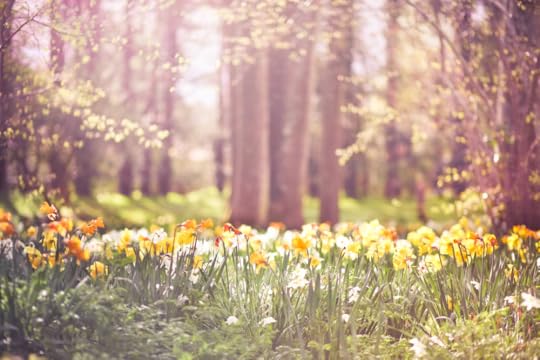 The Impact Of Weather On A Scene