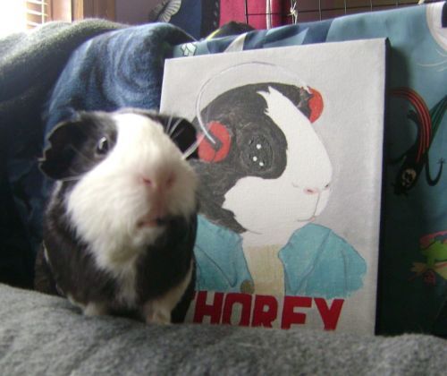 Rachel E Smith guinea pig Thorfy and guinea pig painting Thorfinnur