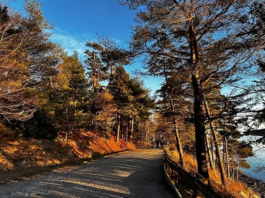 Path, blue sky, trees, ocean
