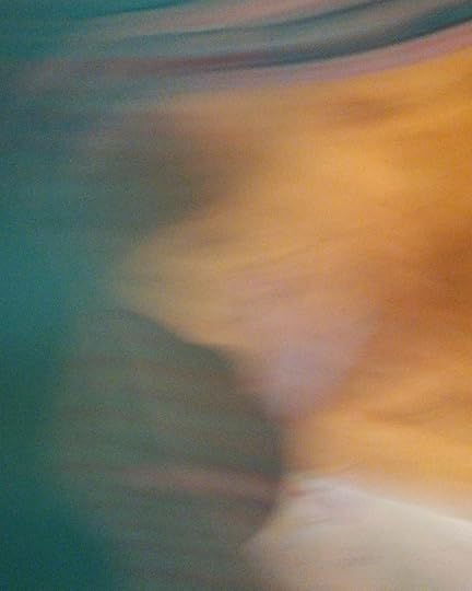 img_20180508_205858_570336534470