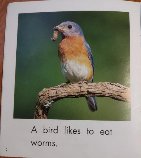 'A bird likes to eat worms.' Photo: bird eating grub