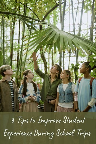 3 Tips to Improve Student Experience During School Trips 