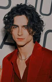 Timothee chalamet aesthetic