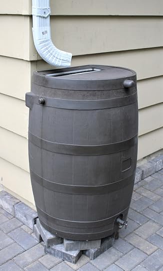 Simple rain barrel set to capture rainwater.