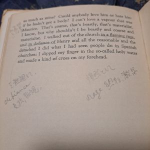 sample page from interior of book showing Chinese annotations in margin