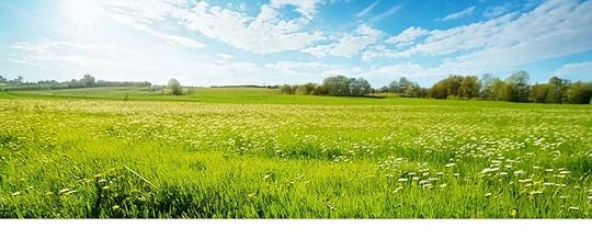 peaceful summer scene of a meadow with a blue sky