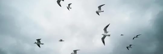 Recensione di La piaga dei gabbiani di Stephen Gregory