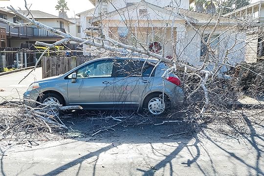 A car is damaged by a fallen tree in Monterey...