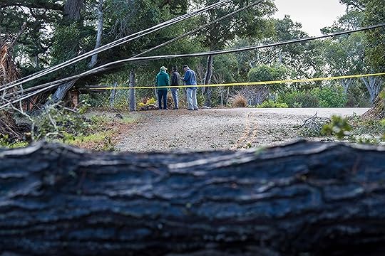 Power lines damaged from a fallen tree are seen across...