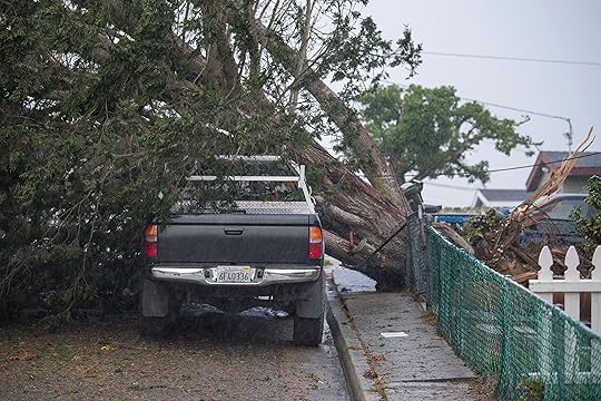 A truck is damaged after a large tree fell across...