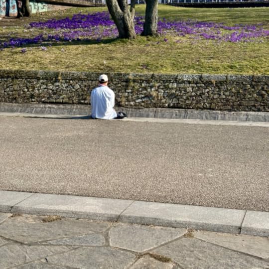 Ein Mann in sommerlicher Kleidung sitzt vor blühenden Krokussen in Planten un Blomen. Sonnenschein, es sieht nach einem warmen Frühlingstag aus.