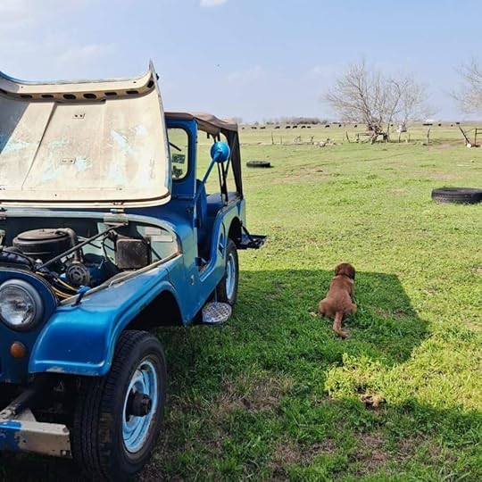 A List of 10 Small But Perfect Things