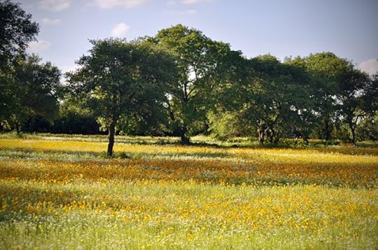 Echoes of Sunrise potential background