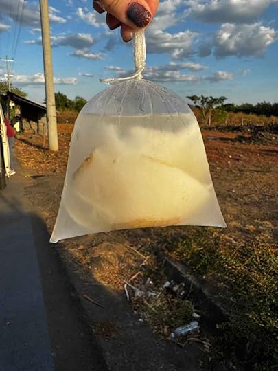 coconut water in a baggie