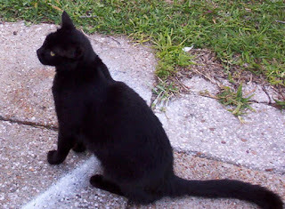 Panzer says, Off to look for a mystery next.