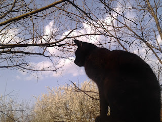Panzer says, I'd like to have an international bestseller.