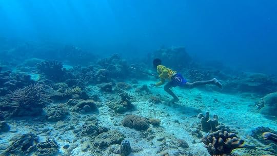 Stephanie Comilang, Search for Life II, 2025