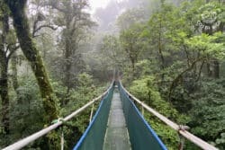 Suspension bridge through the rainforest in Bijagua Costa Rica