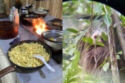 photos of a sloth and food cooking over a woodstove