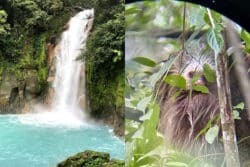 Split picture with Rio Celeste Waterfall on left and a sloth in a tree on the right