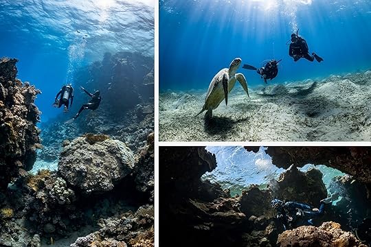 best places in the world to scuba dive