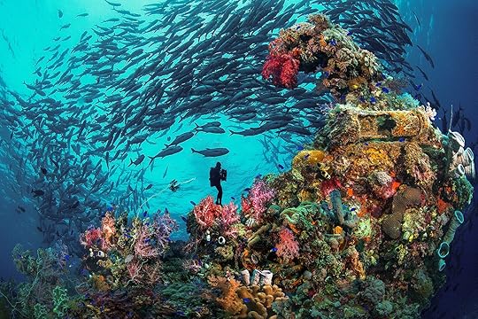 best places in the world to scuba dive