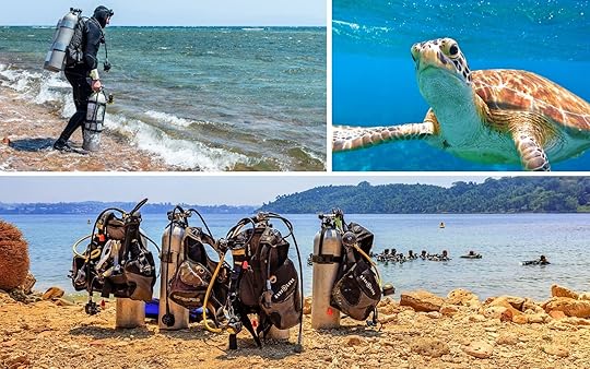 best places to dive - shore diving collage