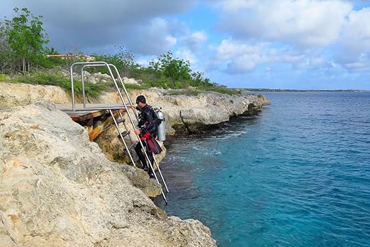 shore diver on ladder