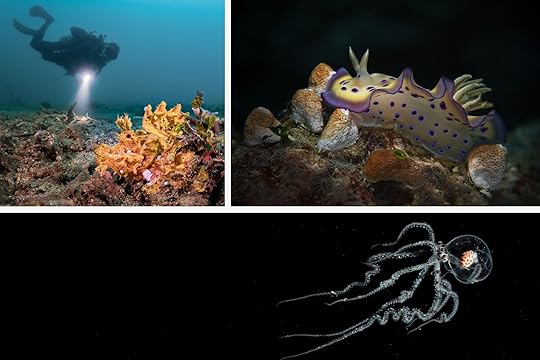 best places in the world to scuba dive
