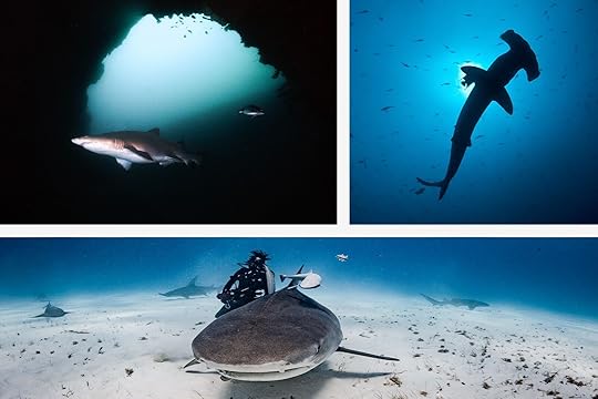 best places in the world to scuba dive