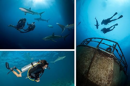 best places in the world to scuba dive