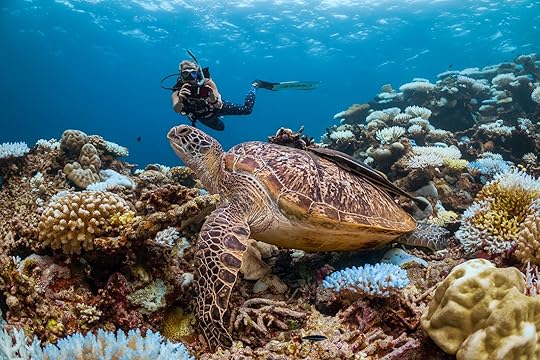best places in the world to scuba dive