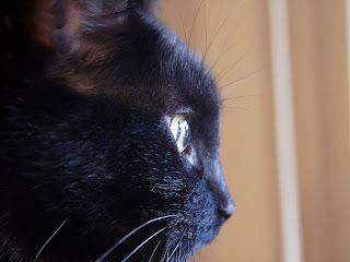 Panzer says, Two years. That's a long time.