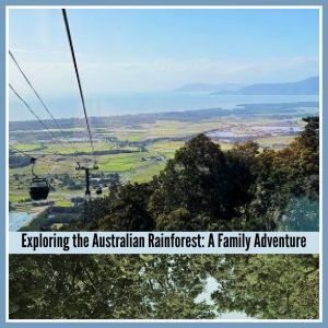 View over an Australian Rainforest to Cairns.