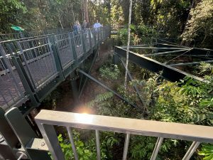 Barron falls engineering
