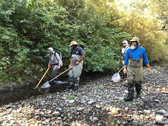 The fish rescue team is usually made up of five people. (Courtesy of Monterey Peninsula Water Management District)