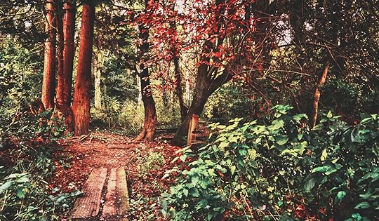 Moseley+Bog+Birmingham