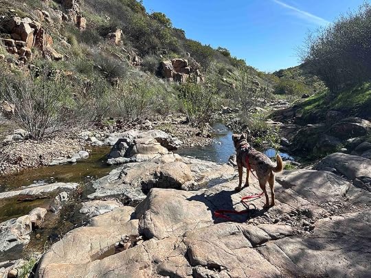 Oak Canyon Trail in Mission Trails Regional Park